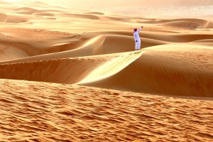Sunset in the Rub-al-Khali (Empty Quarter),
Saudi Arabia-United Arab Emirates border.
Barren-looking landscape is home to desert
foxes, lizards, snakes, flowering plants.
