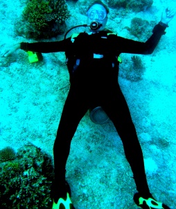 Giant reclining scuba diver
Sipadan Island, Malaysia