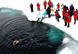 Polar bear swimmer at North Pole